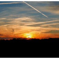 8mm Crispy Sunset