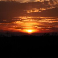 Sunset Southpark 04-29-25 No Filter or LR